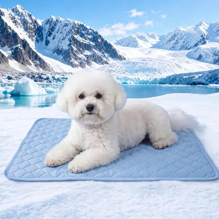 Cooling Pad for Small Dogs, Puppies & Cats, 22x28 Inch, Washable Blue Pet Mat for Summer Khamik Shop Online