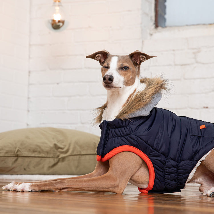 Winter Sailor Parka - Navy Beige Antigone