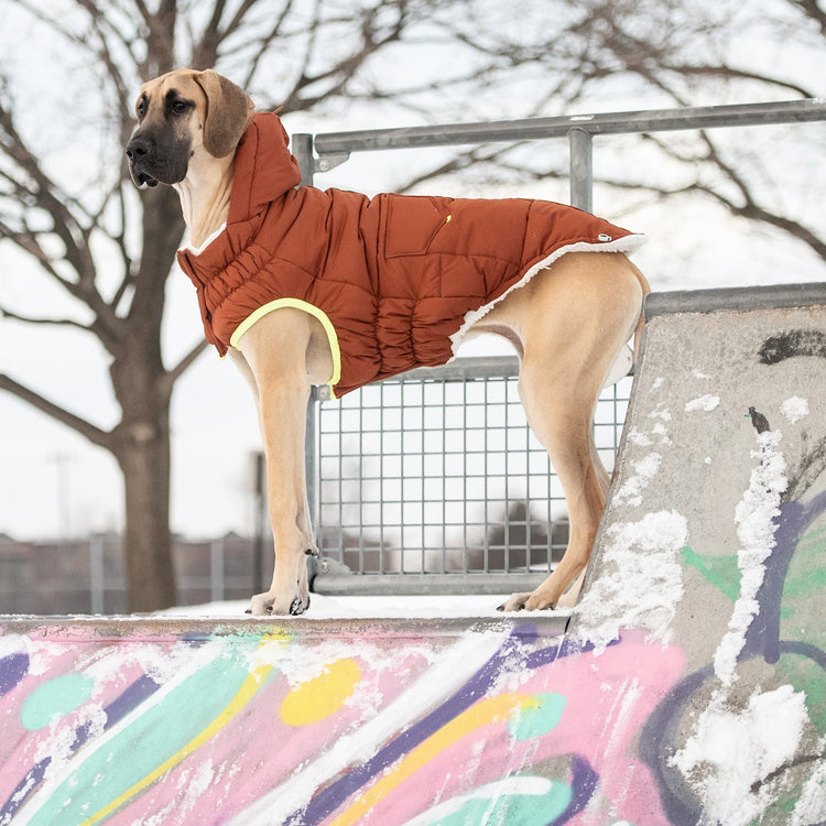 The Puff Parka - Hazel Beige Antigone
