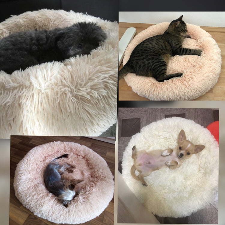 Super Soft Long Plush Comfy Calming Pet Bed Teal Simba