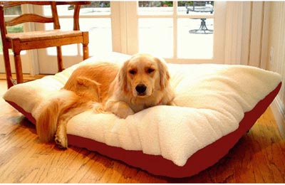 Majestic Pet 788995651611 42x60 Extra Large Rectangle Pet Bed- Red Rose Chloe