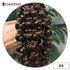 Water Wave Tape in Human Hair Extension Brazilian Hair Skin Weft Tape in Curly Human Hair 20 Pcs/Set Black Brown Blonde Color Khamik Shop Online