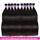 Wholesale 5/6/10/12 Bundles Brazilian Straight Hair 10A Grade Human Ha Cerise Alfie
