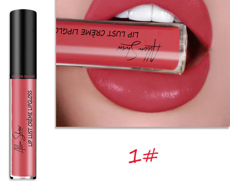 Silky Cream Texture Lip Gloss Aliexpress Shopee Cross-Border Exclusive Periwinkle Abderus