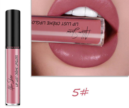 Silky Cream Texture Lip Gloss Aliexpress Shopee Cross-Border Exclusive Periwinkle Abderus