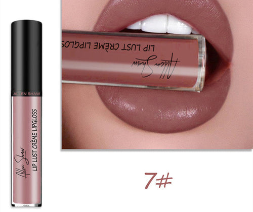 Silky Cream Texture Lip Gloss Aliexpress Shopee Cross-Border Exclusive Periwinkle Abderus