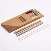 Eco Safe 8 In 1 Silicon Reusable Straws For HOT/COLD Drinks Salmon Lucky