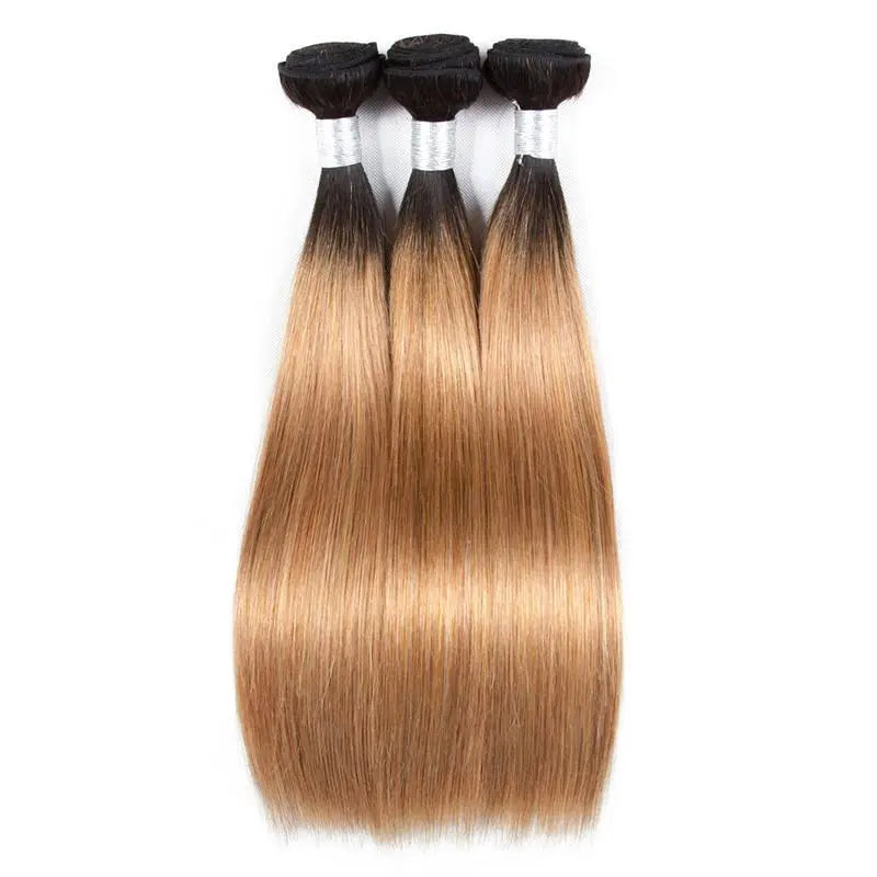 BeuMax 1B/27 Straight Hair BUNDLES with CLOSURES & FRONTALS Cerise Alfie