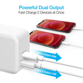 Naztech 30W USB-C PD Dual Output Fast Wall Charger Sky Iapetus