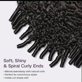 Burmese Curly Wigs Human Hair 13x6 Hd Lace Front Human Hair Wig 13x4 HD Lace Front Wigs 200% Density Wig Human Hair Pre Plucked Khamik Shop Online