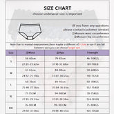 3PCS/Set Luxury Floral Embroidery Lace Panties Women Briefs Sexy Hollow Lingerie Female Underwear Ladies Breathable Underpants Khamik Shop Online