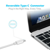 2024 20W USB-C Fast Charger PD Adapter Cable For iPhone 14/13/12/11 XR Puce Gaia