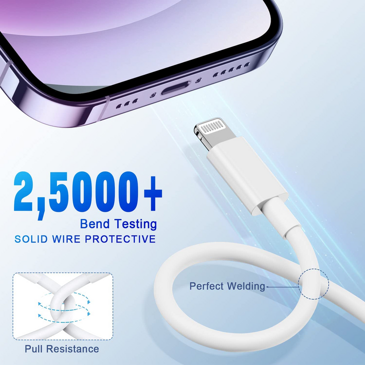 2024 20W USB-C Fast Charger PD Adapter Cable For iPhone 14/13/12/11 XR Puce Gaia
