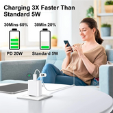 2024 20W USB-C Fast Charger PD Adapter Cable For iPhone 14/13/12/11 XR Puce Gaia
