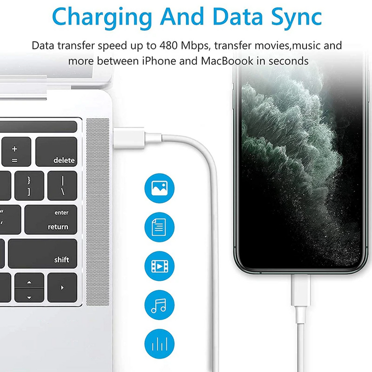 2024 20W USB-C Fast Charger PD Adapter Cable For iPhone 14/13/12/11 XR Puce Gaia