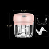 Quick Chop Powered Herbs,Veggie Chopper And Salsa Maker Salmon Lucky