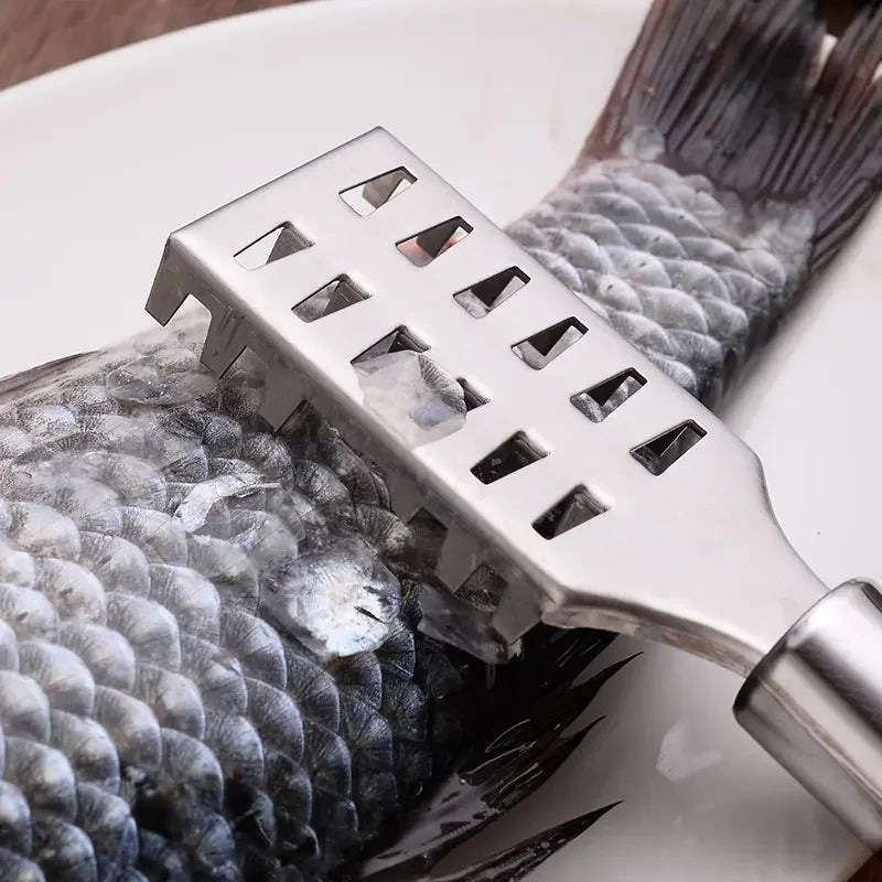 STLL Stainless Steel Fish Scale Remover Cleaner Kitchen Fish Scaler Fish  Graters Kitchen Gadgets Khamik Shop Online