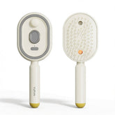 Electric Spray Airbag Massage Comb Essential Oil Atomized Hair Brush Periwinkle Abderus