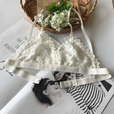 Summer Sexy Lace Tube Top Women Hollow Out Bralette Thin Chest Girl Bras Seamless Transparent Lingerie French Underwear Khamik Shop Online