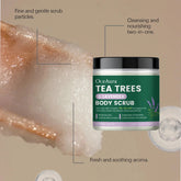 OceAura Tea Trees Lavender Body Scrub Gentle Skin Deep Cleansing Exfoliating Soothing Moisturizing Detoxifying Body Care Scrub  Khamik Shop Online