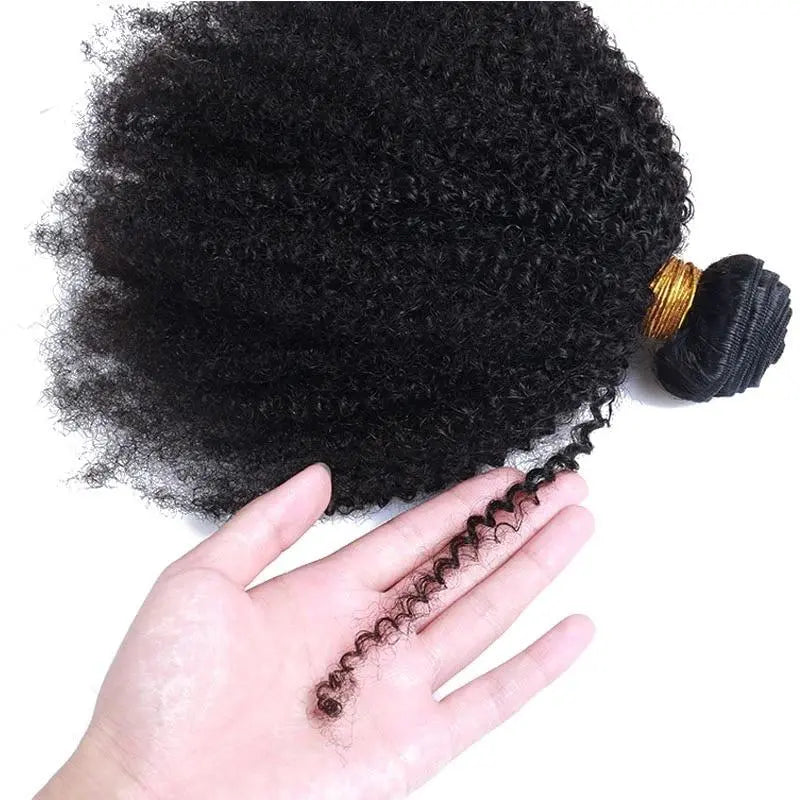 BeuMAX 10A Grade 3/4 Bundles Afro Kinky Curly Brazilian Human Hair Cerise Alfie