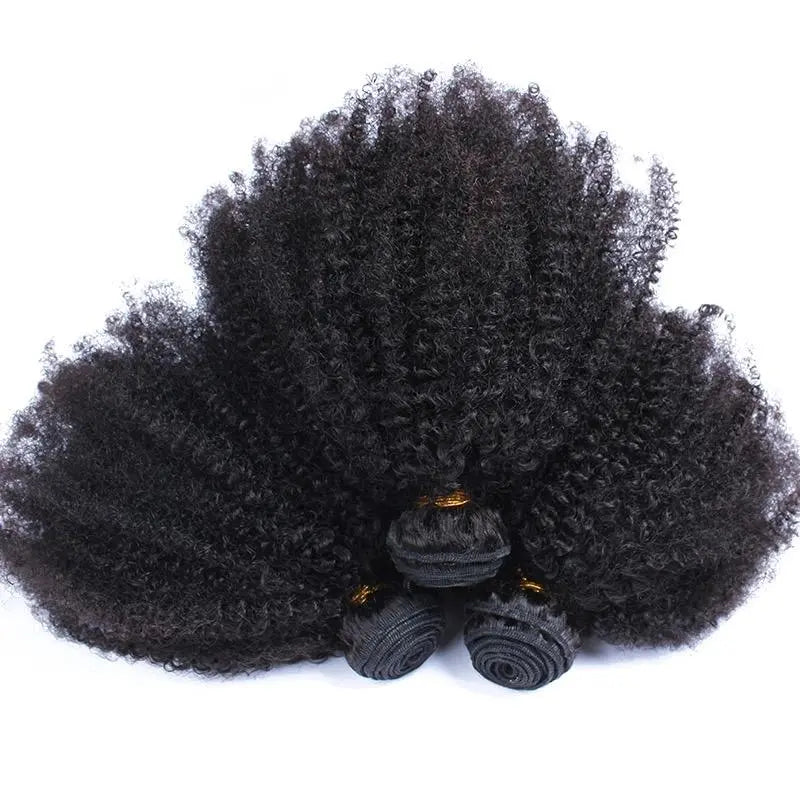 BeuMAX 10A Grade 3/4 Bundles Afro Kinky Curly Brazilian Human Hair Cerise Alfie