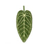 1PC Hot Plant Hand Towel Cleaning Towel Absorbent Handkerchief Hanging Thickened Kitchen Towel Bathroom Kitchen Accessories Khamik Shop Online