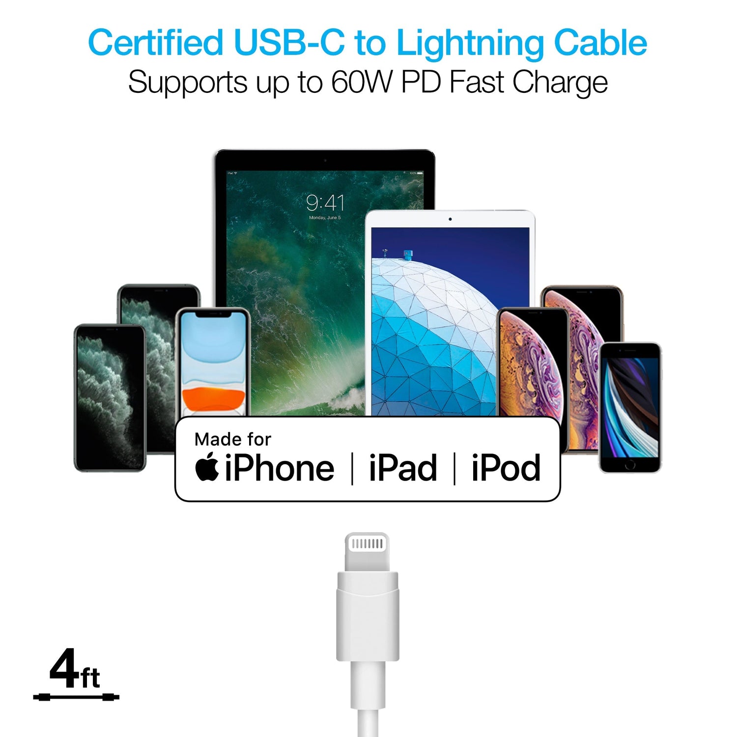 Naztech 20W PD Wall Charger + USB-C to Lightning 4ft Cable Sky Iapetus