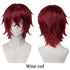 10-Inch Short Straight Hair Suitable For Both Men And Women, Cosplay Synthetic Hair Anime Role-Play Halloween Party Upturned Wig Khamik Shop Online