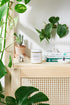 Natural Organic Suns  Block/ Safe Protection/ Non-Nano Zinc Oxide / White Smokey