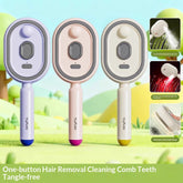Electric Spray Airbag Massage Comb Essential Oil Atomized Hair Brush Periwinkle Abderus