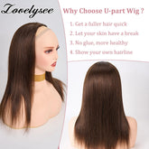 Lovelysee 3/4 Half Wig Human Hair With Clip in Hair Extensions Silky Straight Remy Hair Brown Color Soft 150% 180% Wig For Women Khamik Shop Online