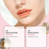 Strawberry Lip Scrub Exfoliating Preventing Drying Cracking Improve Dullness Remove Dead Skin Moisturizing Brightening Lip Care Khamik Shop Online