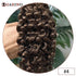Water Wave Human Hair Weft Extension Dirty Blonde Curly Hair Sew In Weft Hair Extensions Double Weft Remy Hair Wet And Wavy 100G Khamik Shop Online