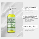 Rosemary Shampoo Set - Gentle and skin-friendly, cleanses scalp and roots, smooths ends, and leaves hair voluminous and silky Khamik Shop Online