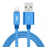 PBG 10FT XL Best iPhone Charger Cable - Durable & Fast Charging Fuchsia Electra