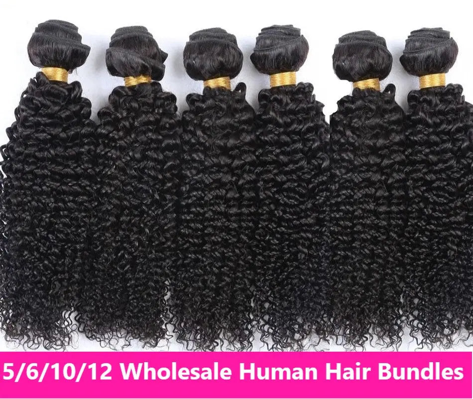 Wholesale 5/6/10/12 Bundles Brazilian Kinky Curly 10A Grade Human Hair Cerise Alfie