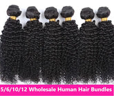 Wholesale 5/6/10/12 Bundles Brazilian Kinky Curly 10A Grade Human Hair Cerise Alfie