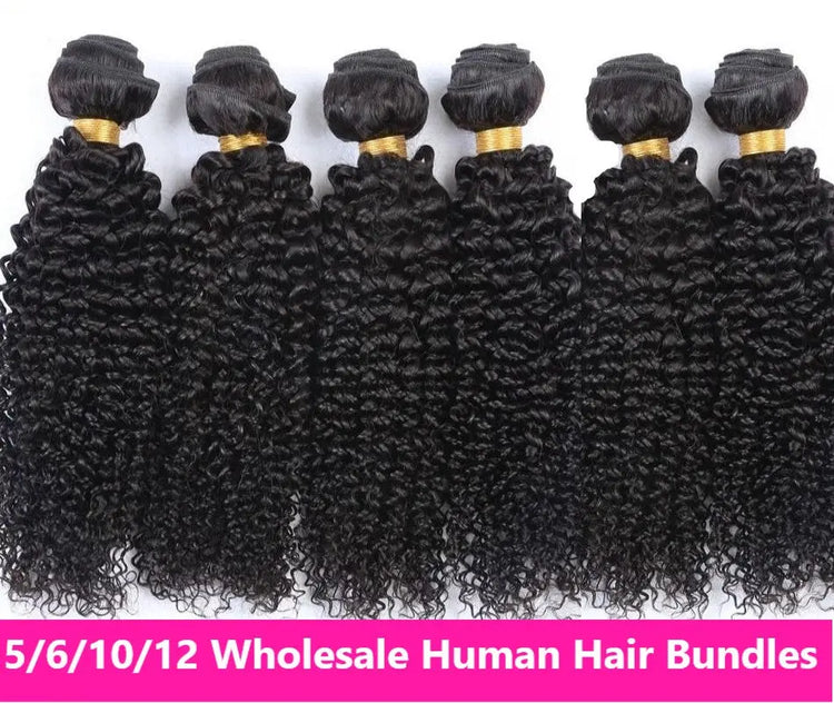 Wholesale 5/6/10/12 Bundles Brazilian Kinky Curly 10A Grade Human Hair Cerise Alfie
